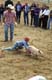 pig2k30727_bd04098